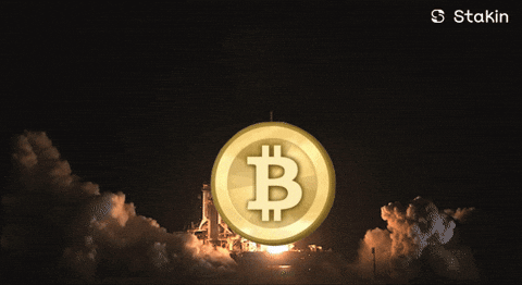 Bitmunt GIF